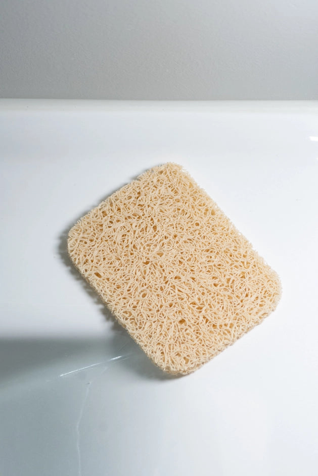 Dish Washing Block Soap Nest