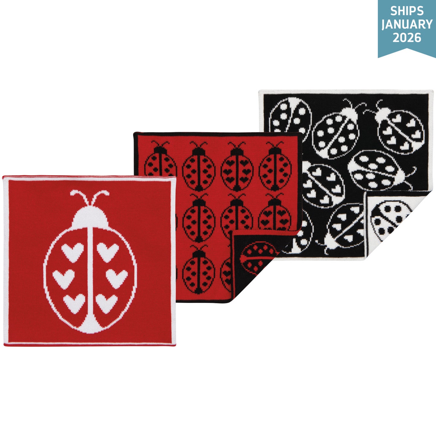 Ladybug - Knit Dishcloth Set