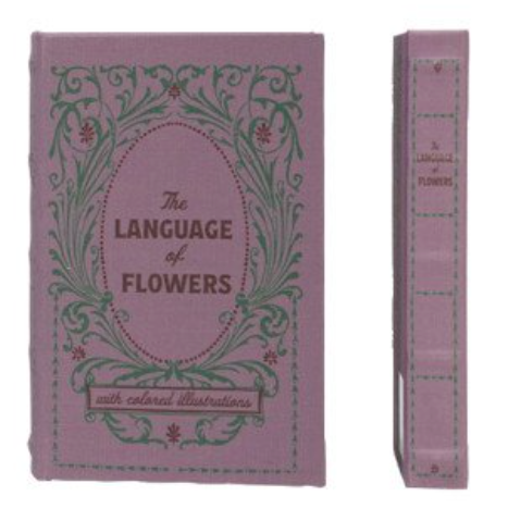 Secret Storage Books - Art & Language