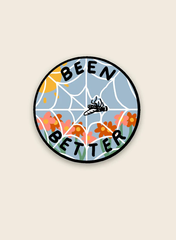 Been Better (Spiderweb) Vinyl Sticker