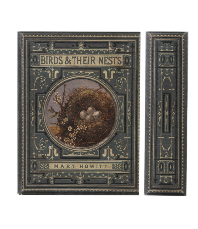 Secret Storage Books - Birds & Nests