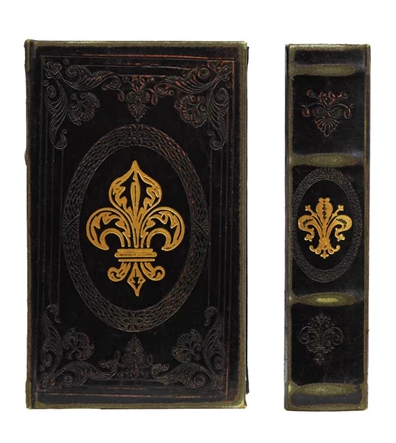 Faux Leather Secret Storage Books - Fleur De Lis