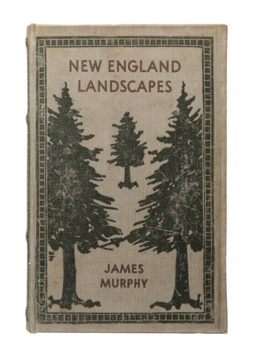 Secret Storage Books - Landscapes & Feathers