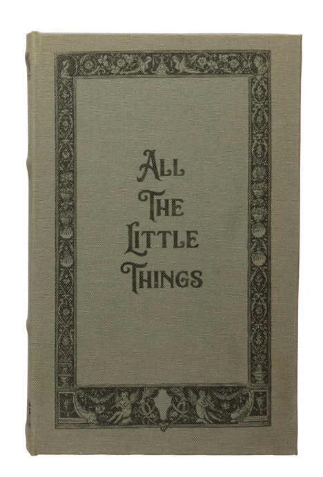 Secret Storage Books - Little Things & Guidebooks