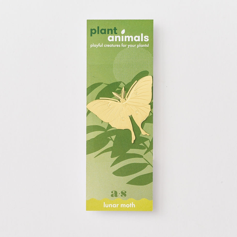 Lunar Moth - Plant Animal