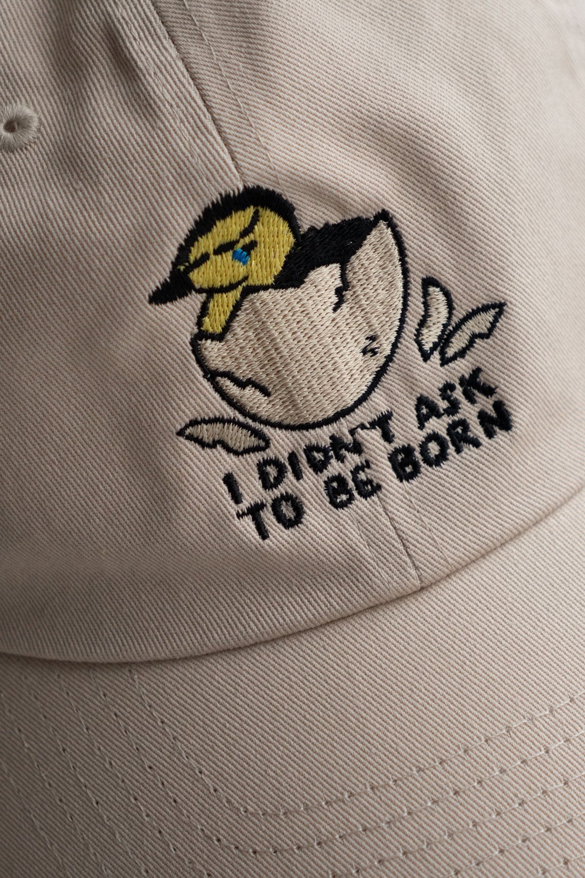 Didn't Ask To Be Born Dad Hat