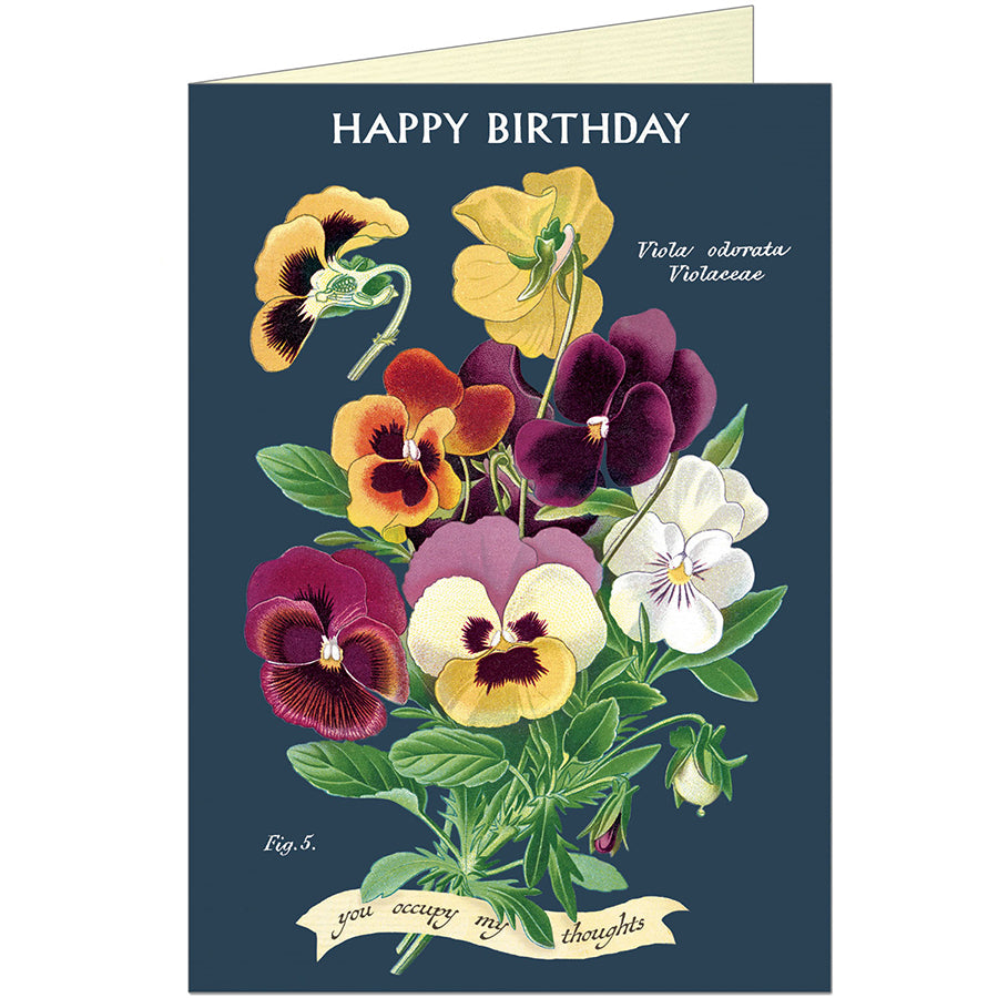 Happy Birthday Violet Card