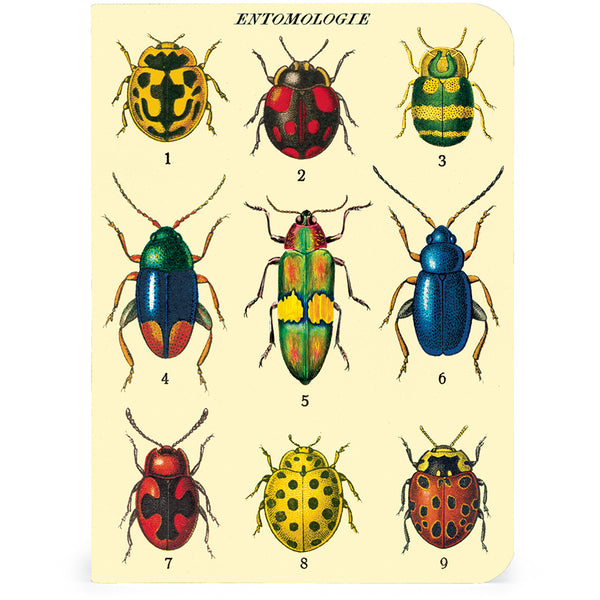 Bugs & Insects Mini Notebooks