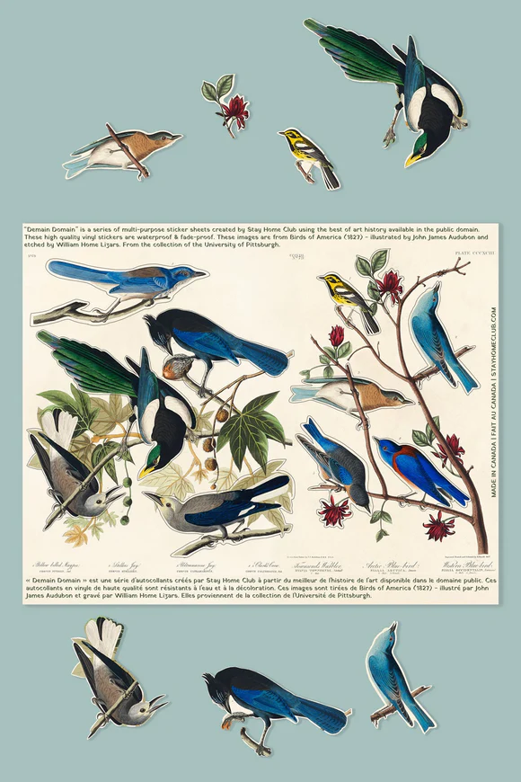 Birds of America Vinyl Sticker Sheet