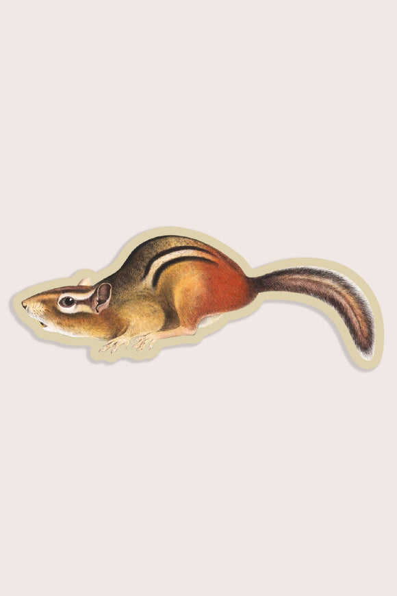 Suspicious Chipmunk Vinyl Sticker