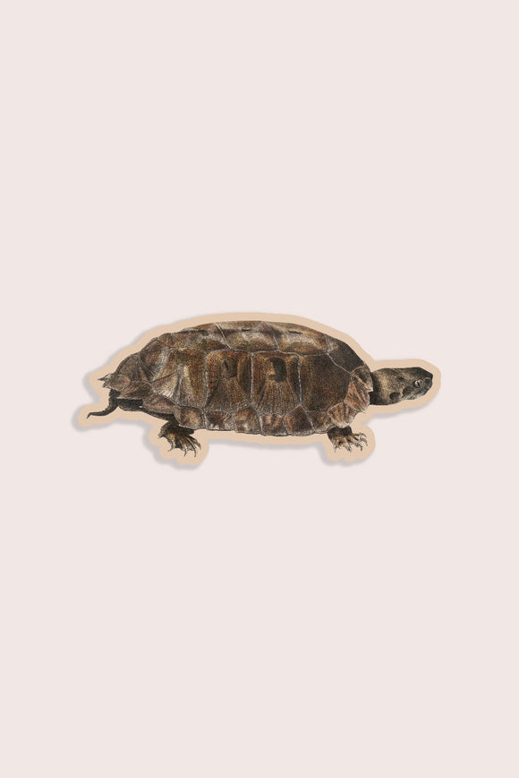 Tentative Terrapin Vinyl Sticker