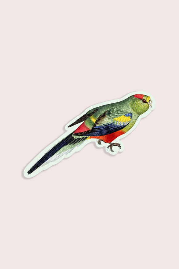 Petulant Parakeet Vinyl Sticker