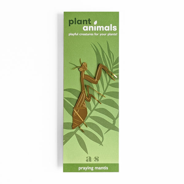 Praying Mantis - Plant Animal