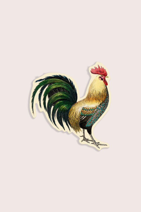 Rude Rooster Vinyl Sticker