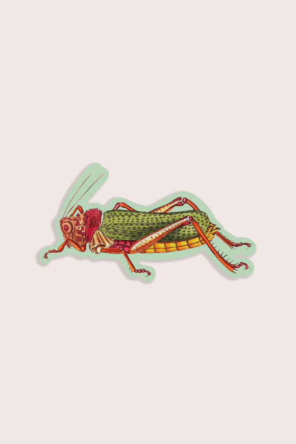 Lairy Locust Vinyl Sticker