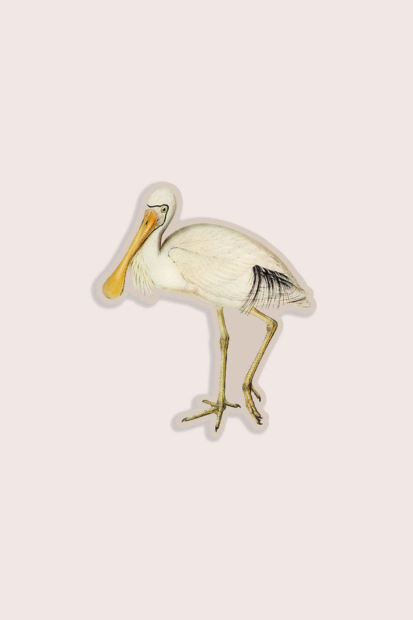 Skeptical Spoonbill Vinyl Sticker