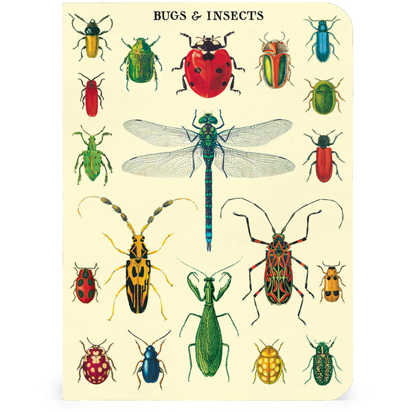 Bugs & Insects Mini Notebooks