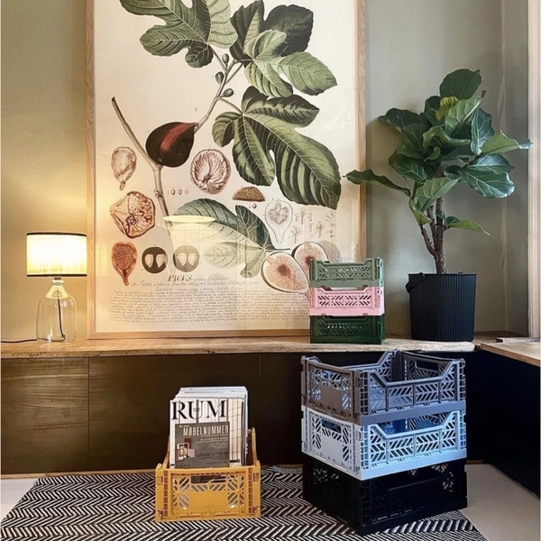 Mustard - Aykasa Collapsible Crates