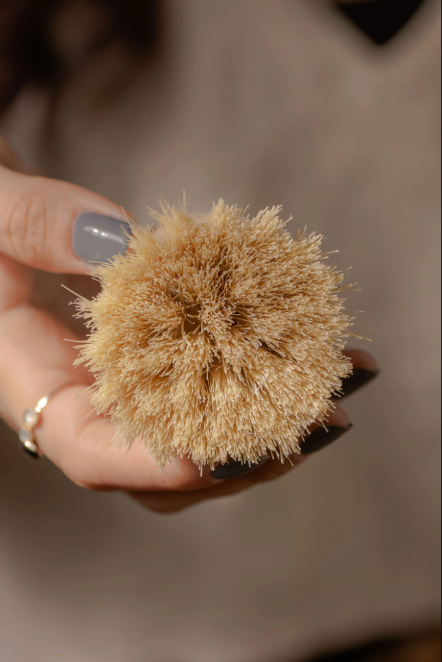 Dishwashing Hand Brush