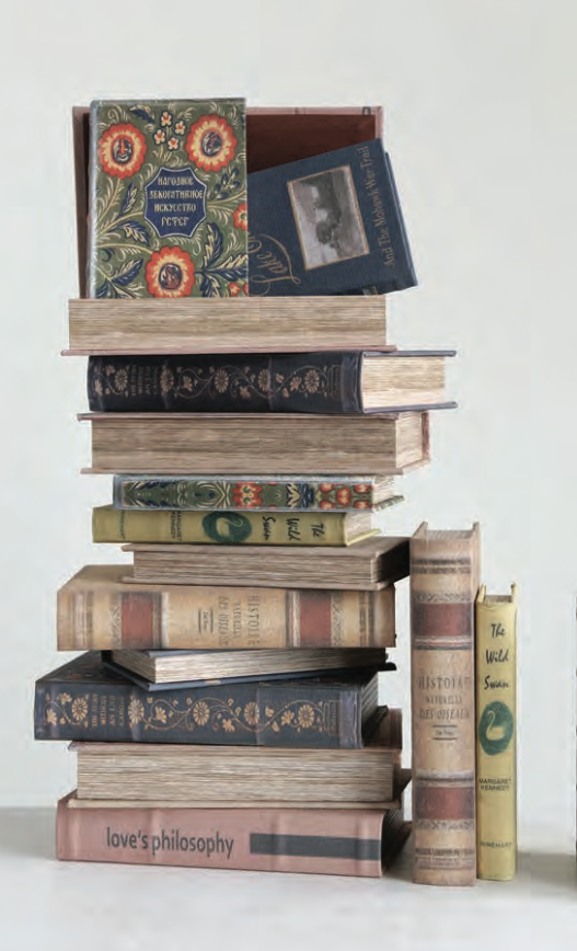 Secret Storage Books - Small