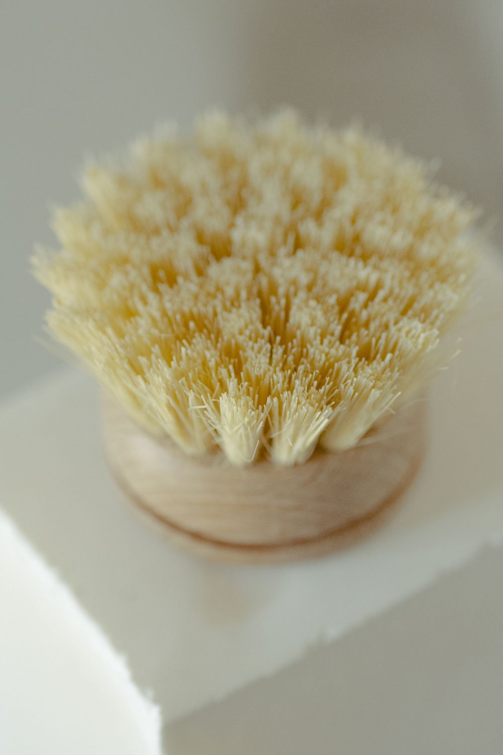 Dish Washing Brush - Long Handle