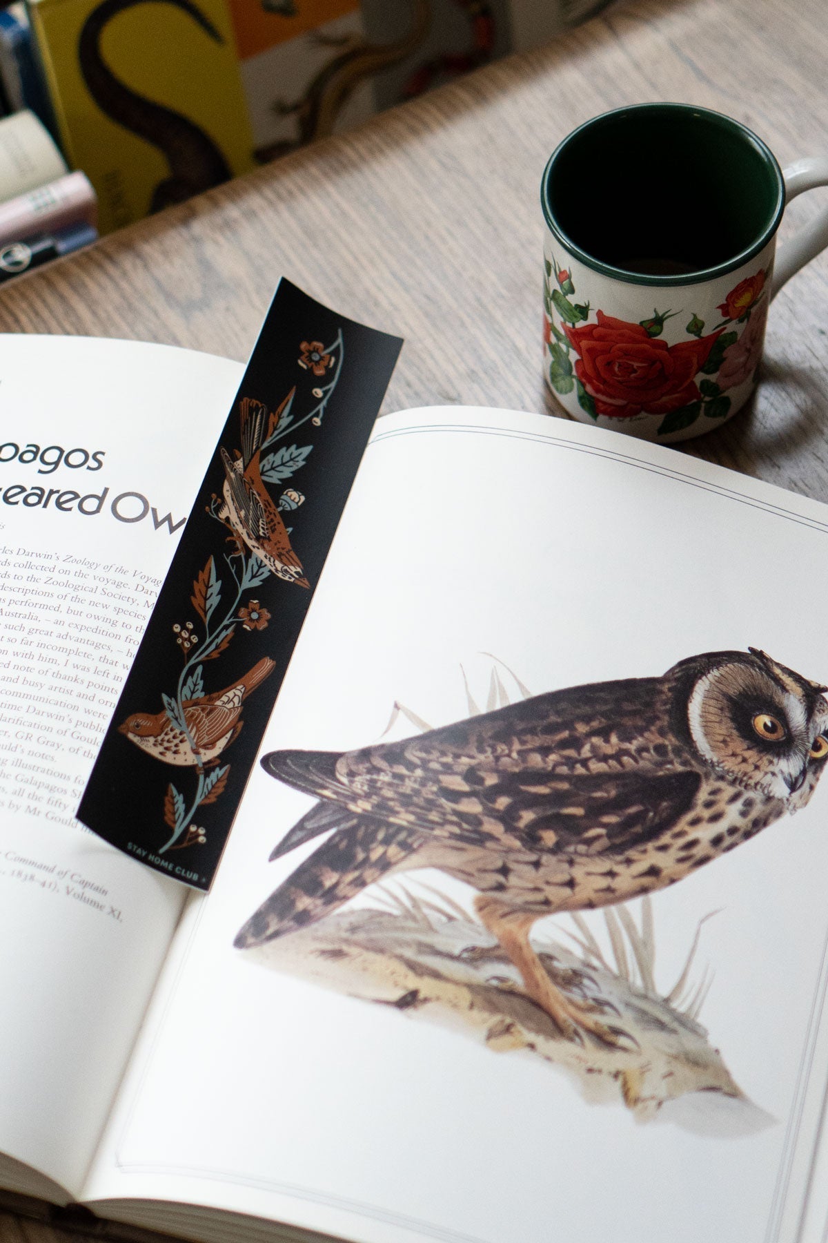 Finches XL Vinyl Sticker