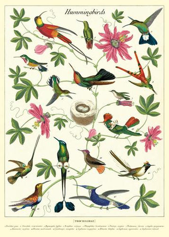 Hummingbirds Poster Wrap