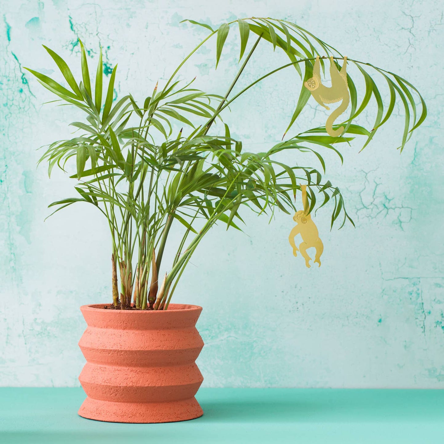 Lemur - Plant Animal