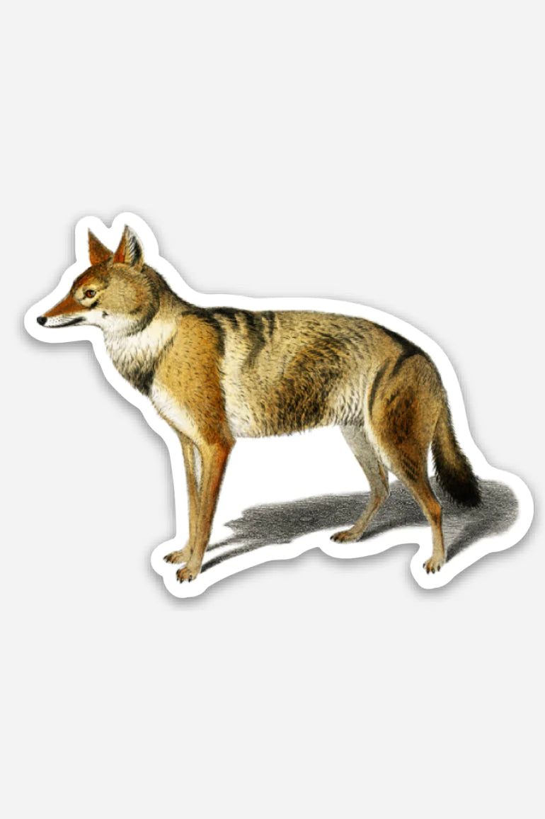 Skeptical Jackal Vinyl Sticker