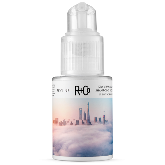 SKYLINE Dry Shampoo Powder