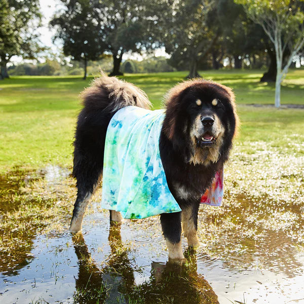 Sunset Splash - Large Dog Towel