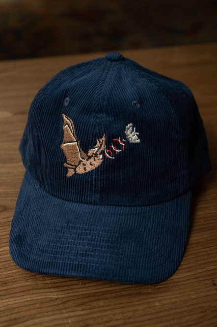 Echolocation Corduroy Dad Hat