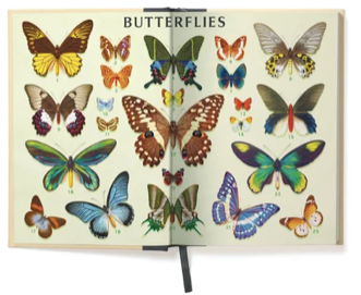 Butterflies -Window Journal