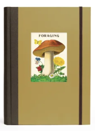 Foraging -Window Journal