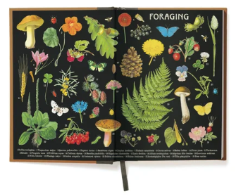 Foraging -Window Journal