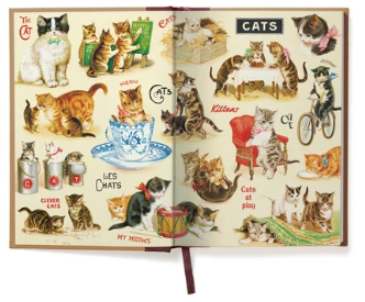 Cat -Window Journal