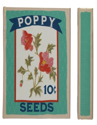 Secret Storage Books - Sweet Pea & Poppy