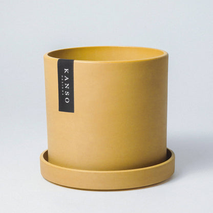 7" Planter & Saucer : Mustard Seed