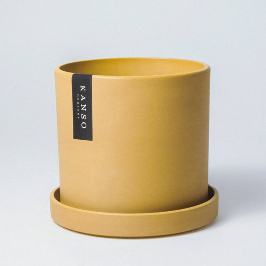 7" Planter & Saucer : Mustard Seed