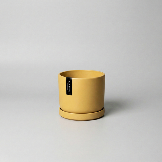 3.5" Mini Planter: Tatami