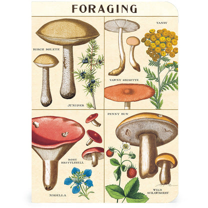 Foraging Mini Notebooks