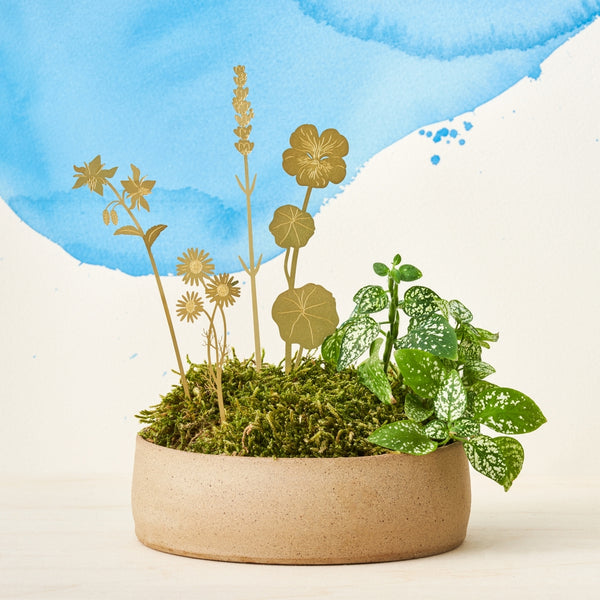 Bloom Herbs - Brass Plant Decoration