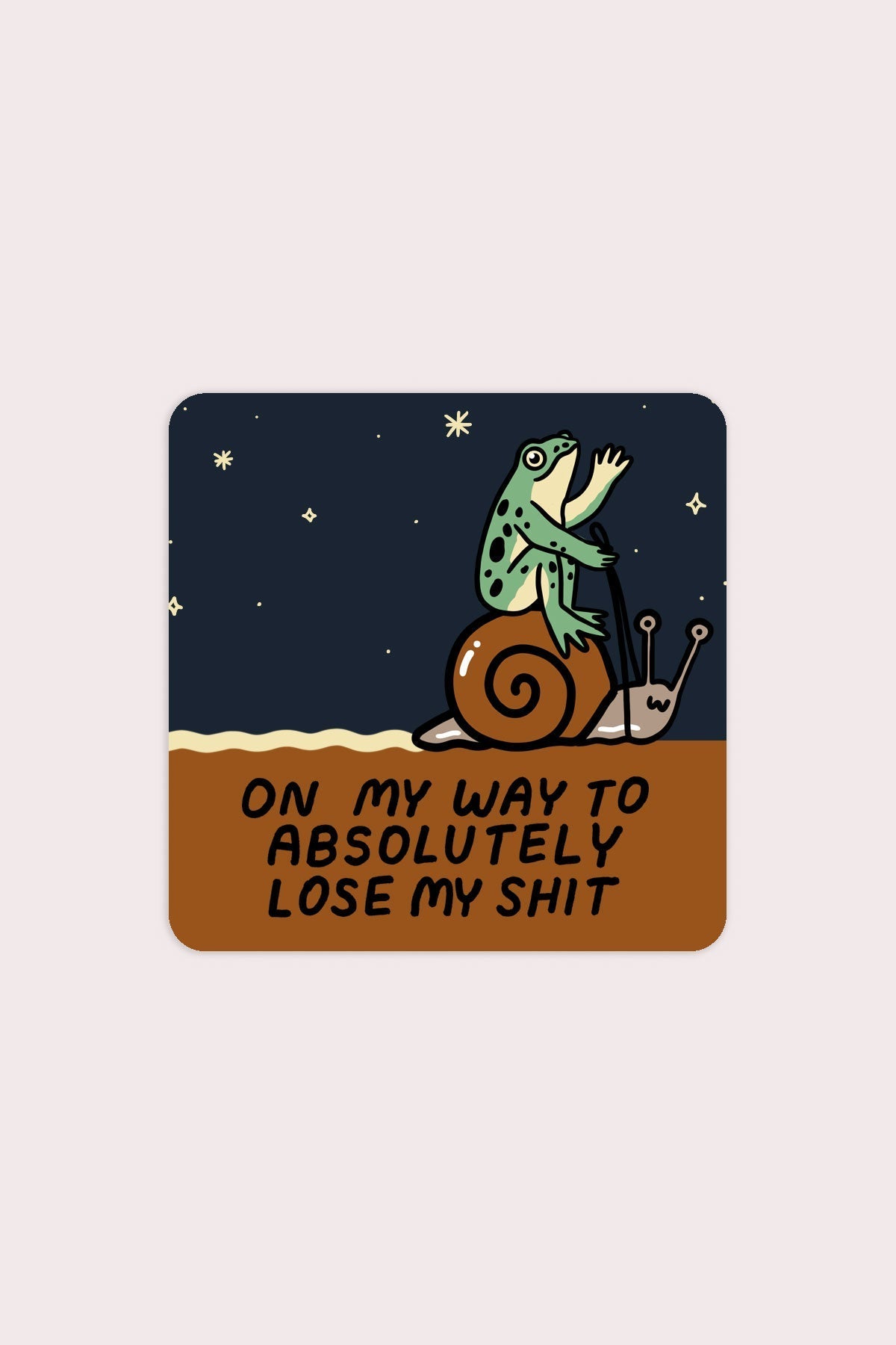 Lose My Shit Vinyl Sticker