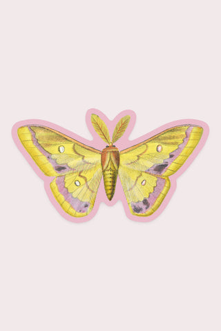 Splendid Moth Vinyl Sticker