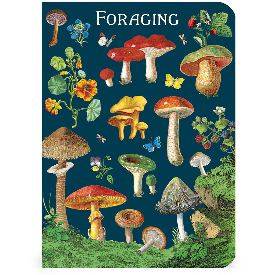 Foraging Mini Notebooks