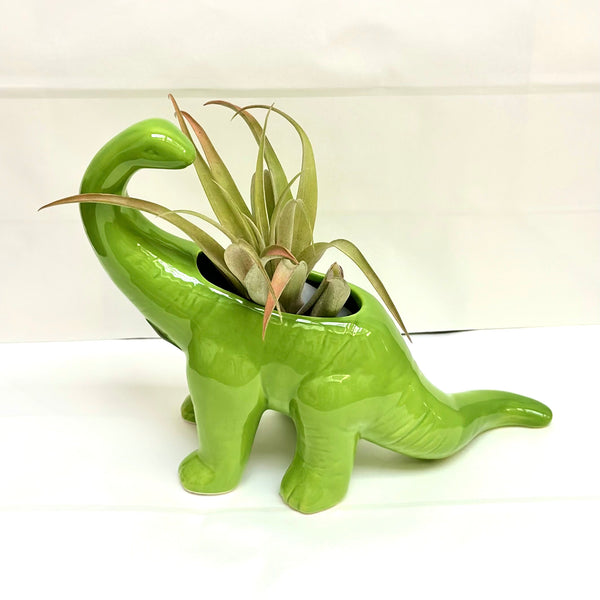 Dinosaur Planter - Brontosaurus