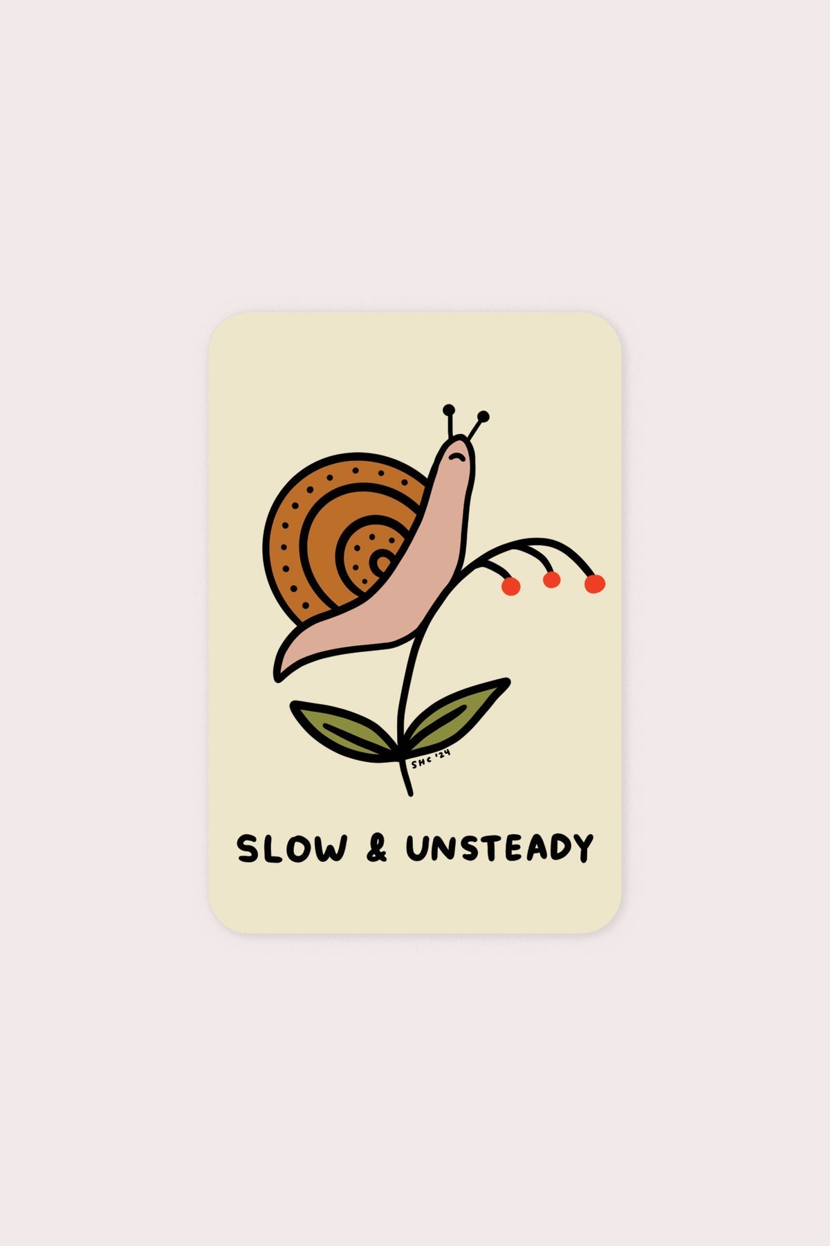 Slow & Unsteady Vinyl Sticker