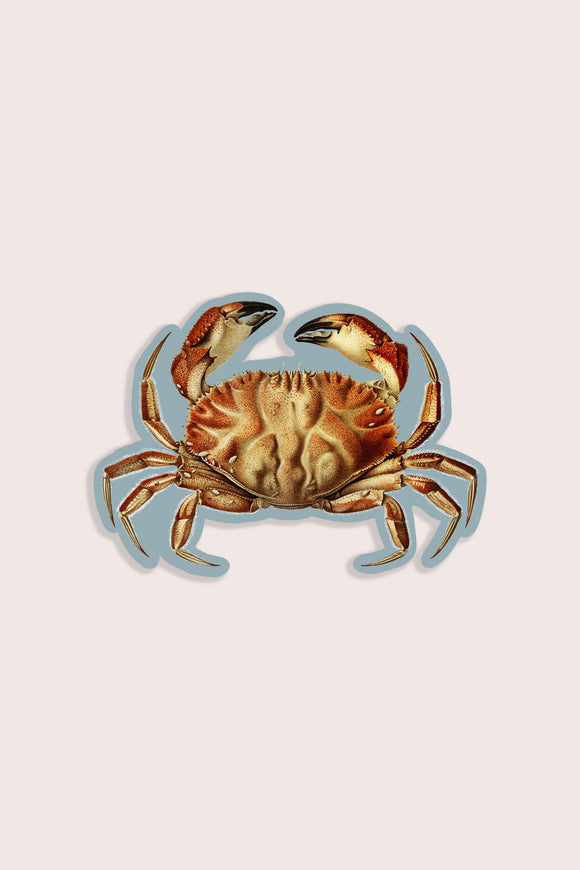 Cheeky Crab Vinyl Sticker