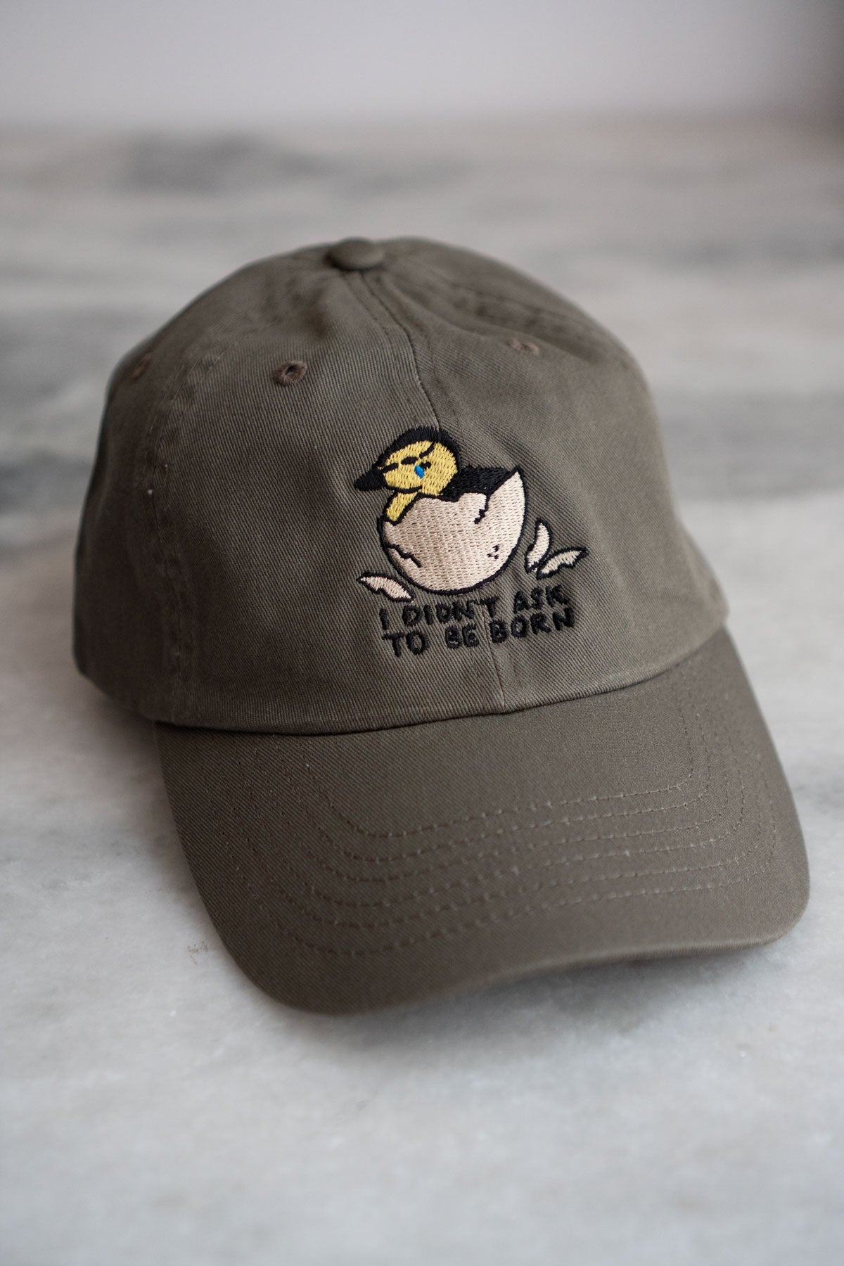 Didn't Ask To Be Born Dad Hat