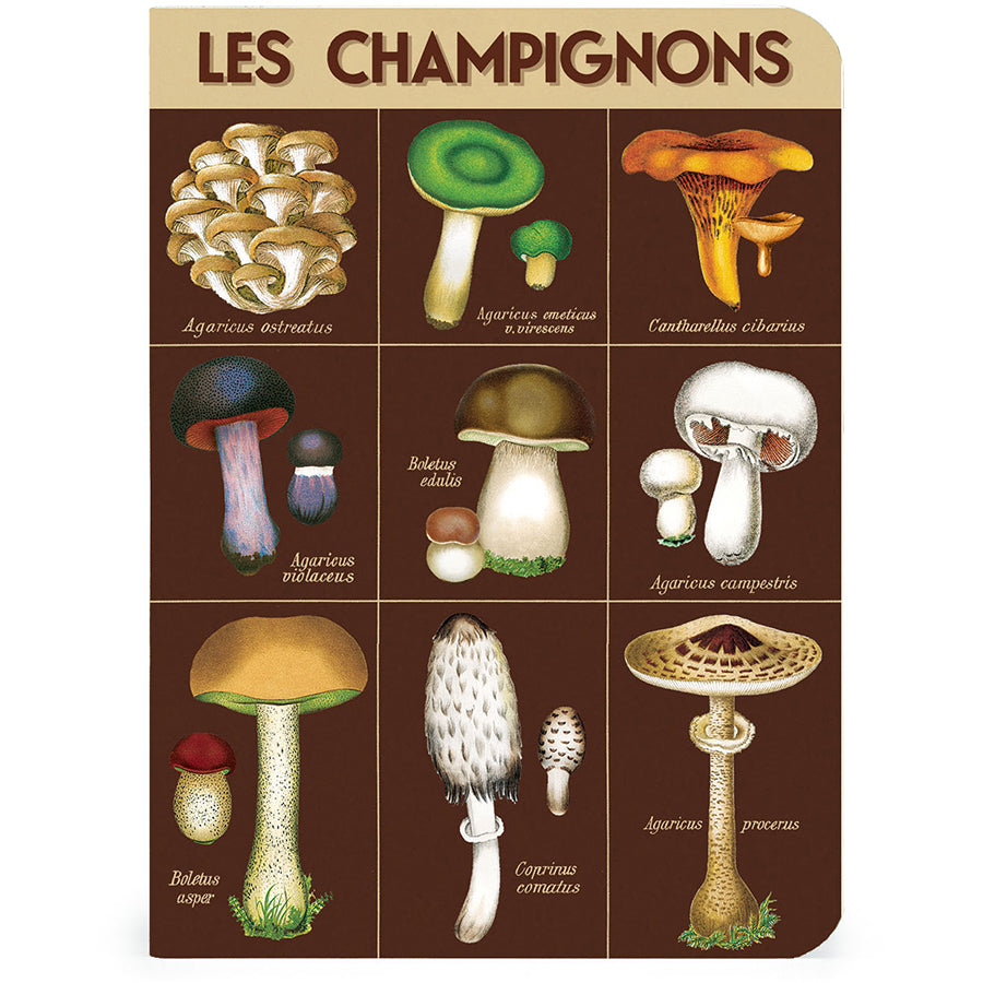 Foraging Mini Notebooks